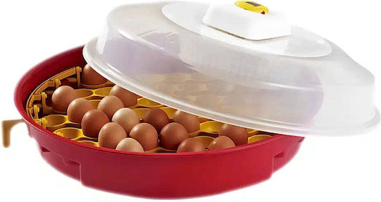 Incubator