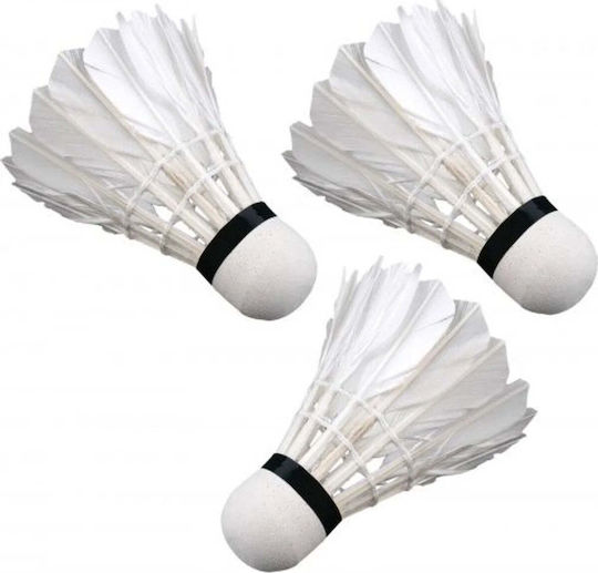 Victoria Sport Aripă Badminton