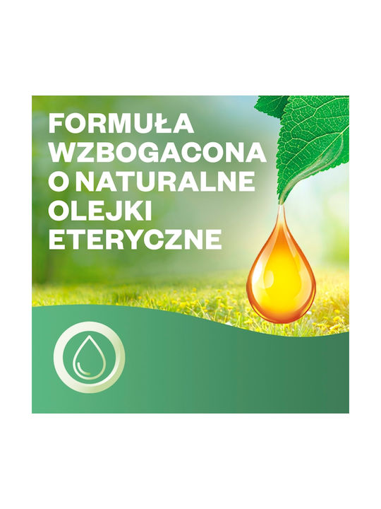Airwick LED Ultraschall Aromatherapie-Diffusor Grüne