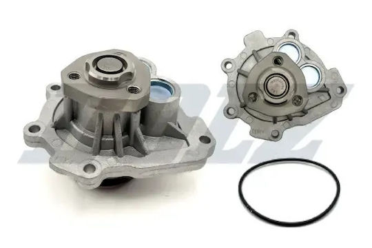 Dolz Water Pump O263