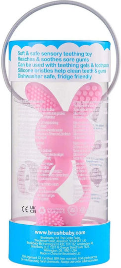 Brush Baby Teether Teething Relief