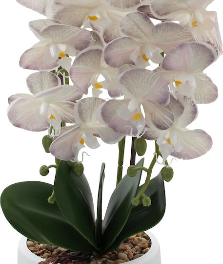 Букет от орхидеи Keskor Букет от орхидеи Keskor