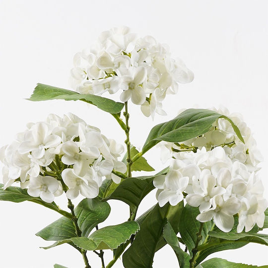 Dekorative Topfpflanze Hortensie Inart Weiß Φ35x50 Εκ
