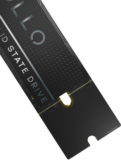 Apollo S2 SSD 256GB Mit PCI Express 3.0 Kommunikationsprotokoll