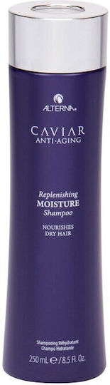 Alterna Caviar Nachfüllung Hydratation Shampoo 250ml