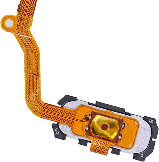 Home Button Flex Cable Samsung Galaxy S7 Edge Gold