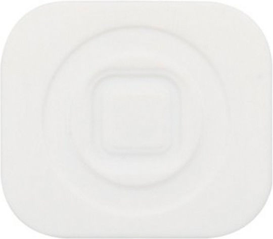 Home Button Iphone 5 White