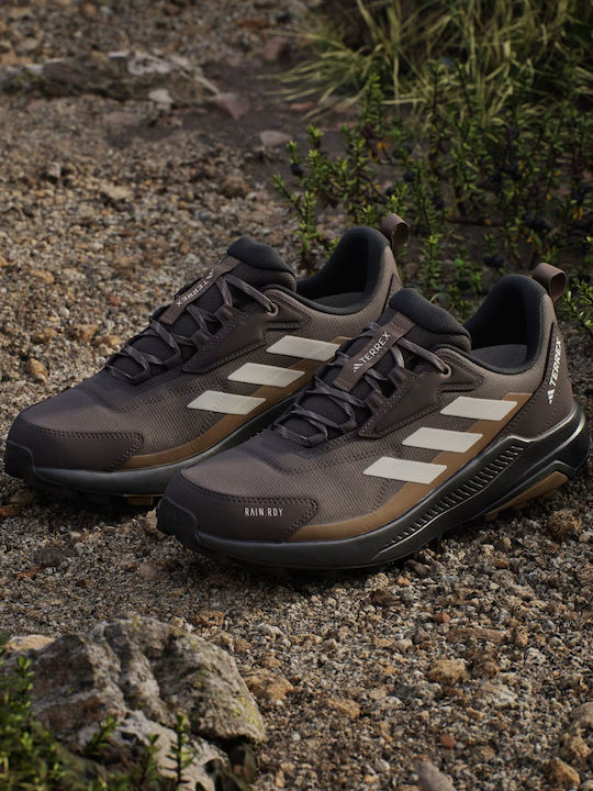 adidas Terrex Anylander Rain.rdy Men's Hiking Shoes Waterproof with Gore-Tex Membrane Brown