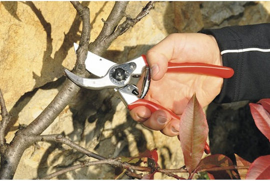Felco 2 Foarfeci profesionale de grădină pentru arbuști