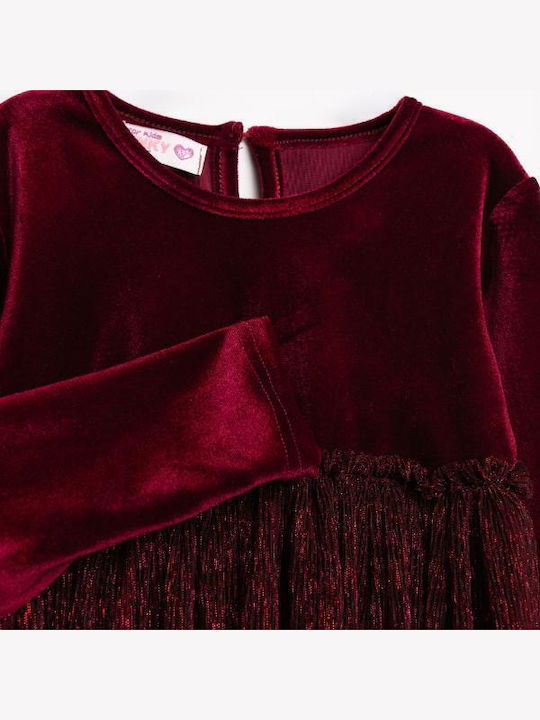 Girls Dress Long Sleeve Velvet Burgundy