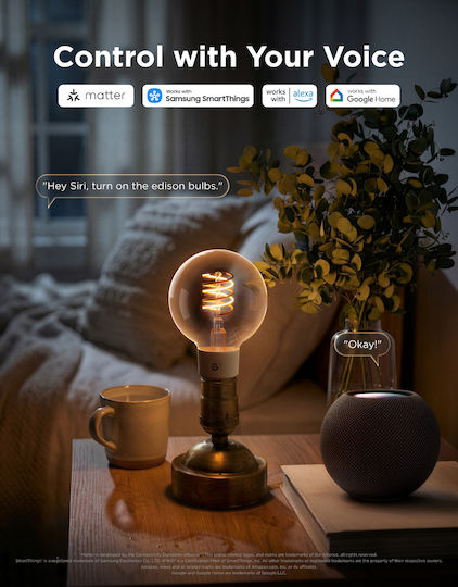 Govee Smart LED Bulb for E27 Socket and G80 Shape RGBW 500lm
