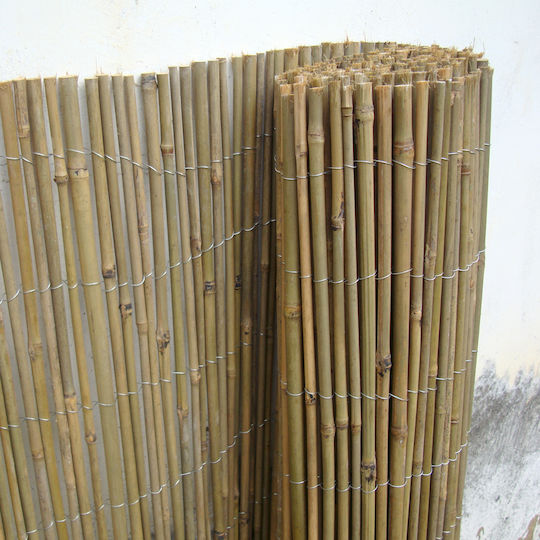 Ecoshadow Bambuszaun mit Ganzes Schilf Bambus 2x3m