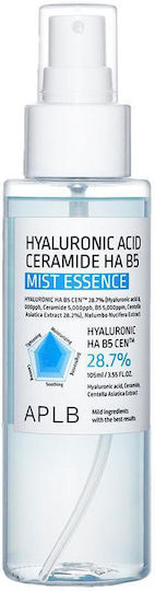 Hyaluronic Acid Ceramide HA B5 Moisturizing Essence Face with Hyaluronic Acid & Panthenol 105ml