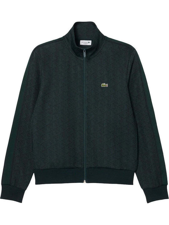 Hooded Sweatshirt Green