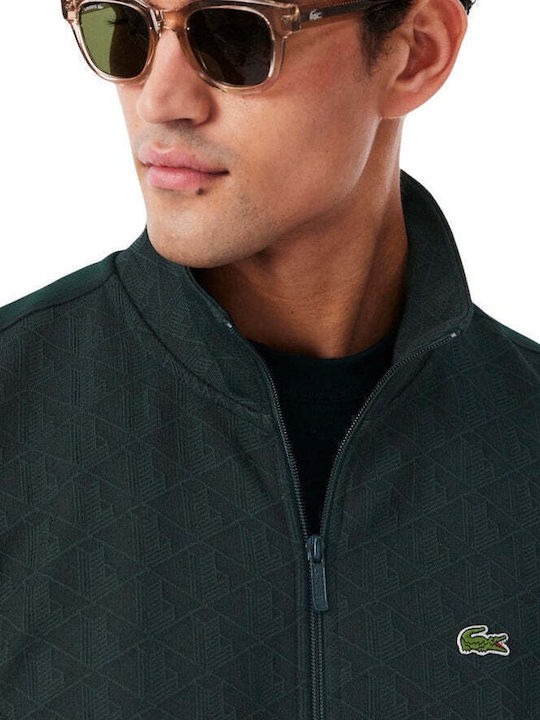 Hooded Sweatshirt Green