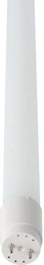 Eco Light LED-Lampe 25W Röhrenform 150εκ. für Fassung G13 und Form T8 Kühles Weiß 3250lm