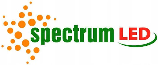 Spectrum LED Лампа 4W 82mm За Накрайник E27 И Форма P45 Топло Бяло 320 Лумени