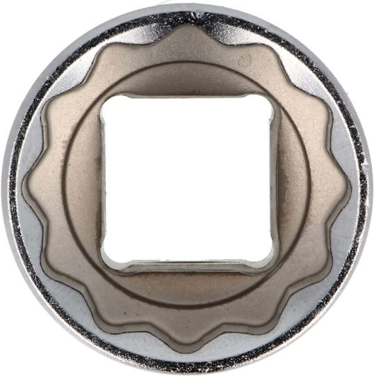 Honiton Socket