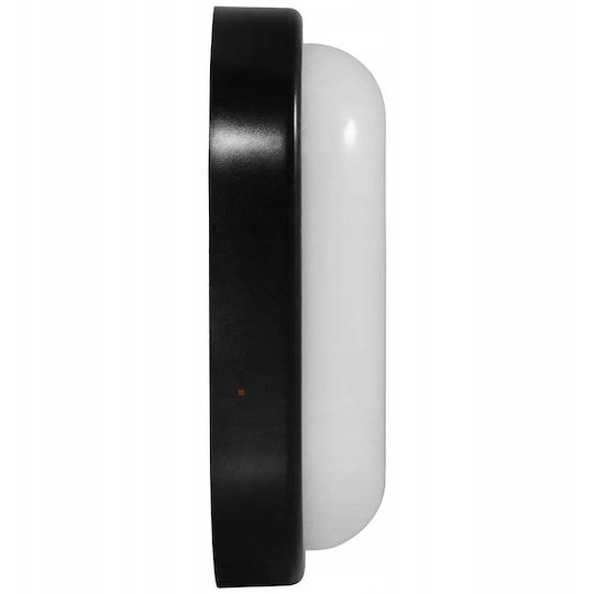 Bemko Wall-Mounted Outdoor Light LED IP54 8W