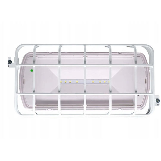 Eaton LED Notfallleuchte Ausfahrt