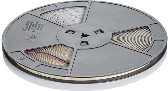 Eco Light Bandă LED 12V Alb Natural Lumină 50m Tip SMD2835