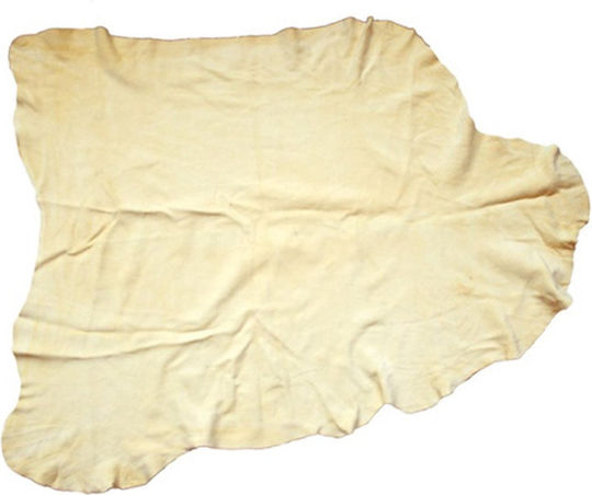Car Cleaning Leather