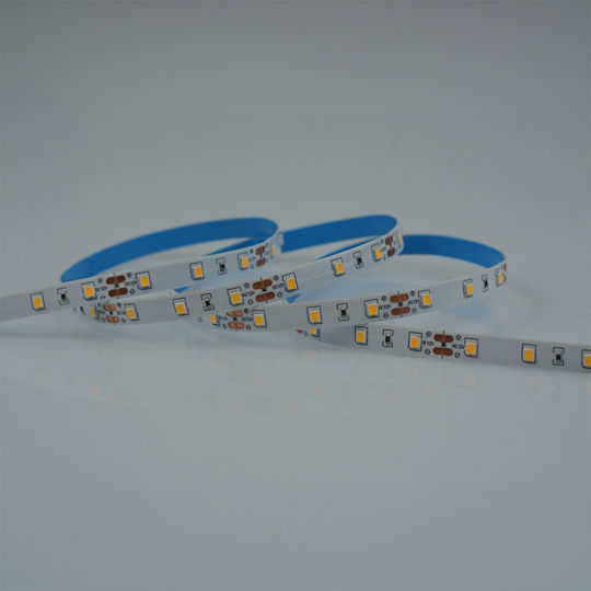 Eurolamp LED Strip 12V Natural White Light 5m SMD2835 Type