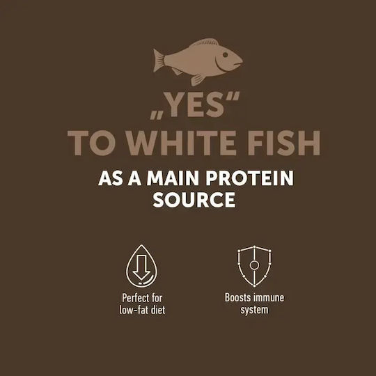 Lifestyle Ξηρά Τροφή χωρίς Σιτηρά για Ενήλικες Γάτες 7kg