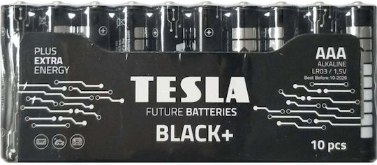 Tesla Batteries Alkaline Batteries AAA 5V 10pcs