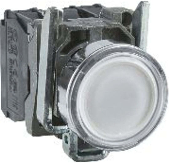 Control Button 22mm White Self-return Illumination 1z 1r Xb4bw31m5