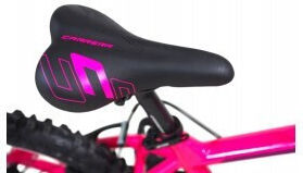 Carrera 20" Παιδικό Mountain Bike Ροζ