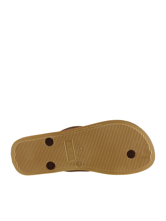 Brown Colour Flip-Flops