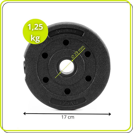 Disc 1 x 1.25kg Φ29mm
