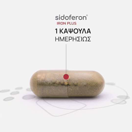 OLONEA Sidoferon Iron Plus with Maximum Absorption Iron Bisglycinate That Does Not Cause Constipation, Slow-Release Vitamin C & Biosync Matrix® 30 Caps