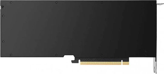 HP RTX 5000 32GB GDDR6 Ada Generation Graphics Card