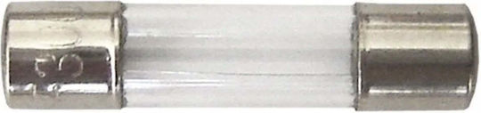Glas Zylindrische Sicherung 5.0a/20mm Ss3930-5.0/2
