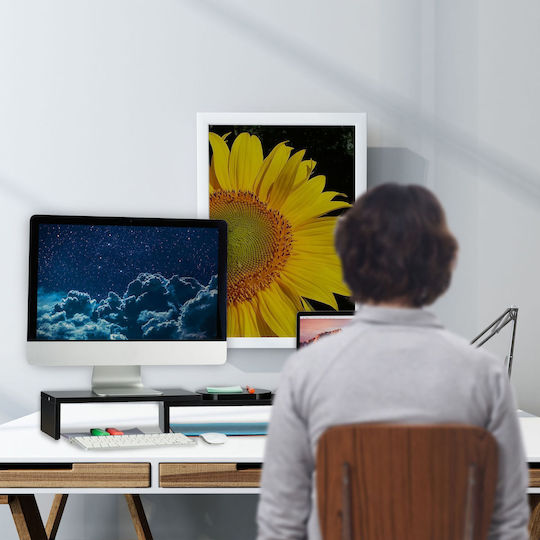 Relaxdays Suport de Birou pentru 2 Monitoare (10039881)
