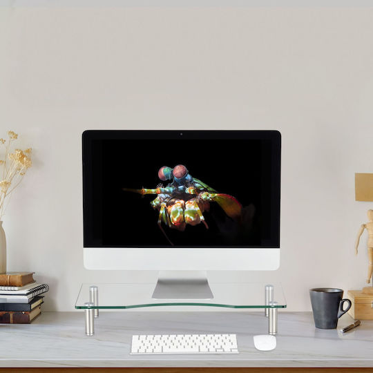 Relaxdays Suport de Birou pentru Monitor Transparent (10027844_535)