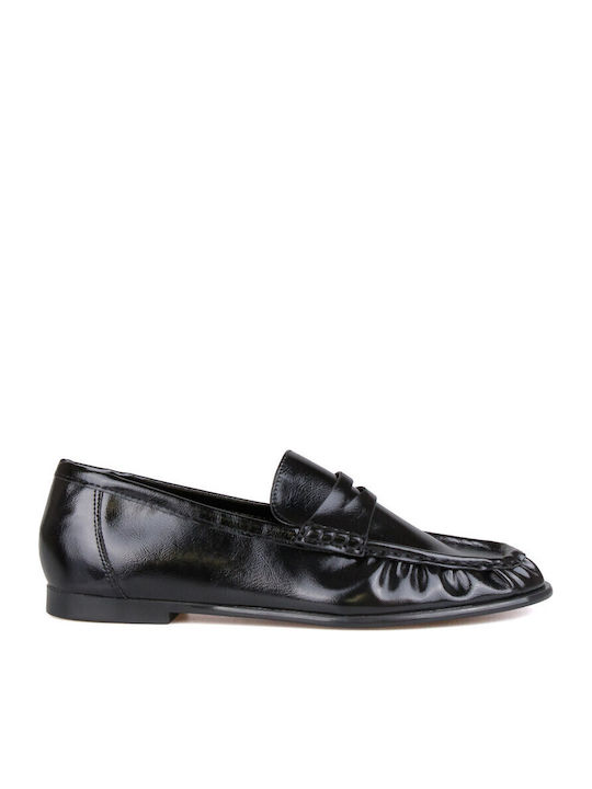 Silia D