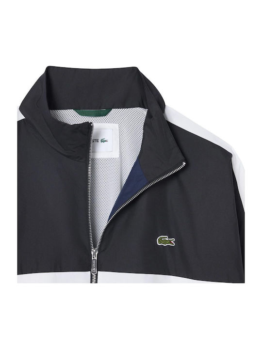 Lacoste Lacoste