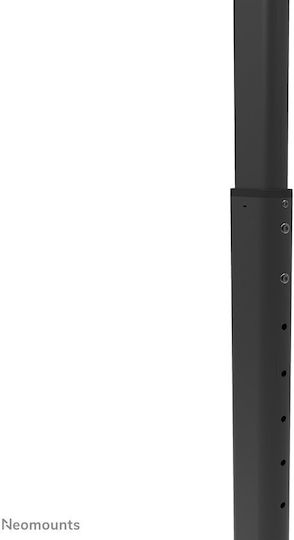Neomounts Universelle Bodenhalterung für Videobars Neomounts Av80-500bl Höhenverstellbar 10 Kg Tragkraft Schwarz