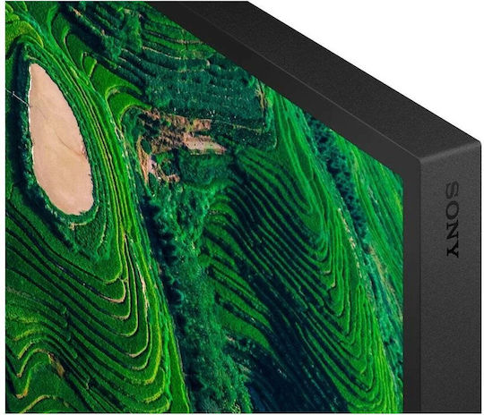 Sony FW-65BZ35P Ecran Public de 65" E-LED 4K UHD