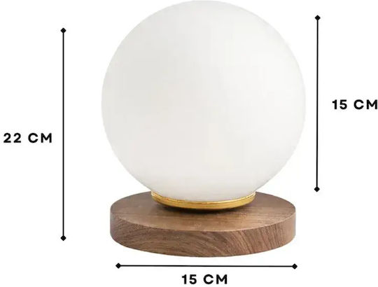 SteweHome Decorative Light Fixture
