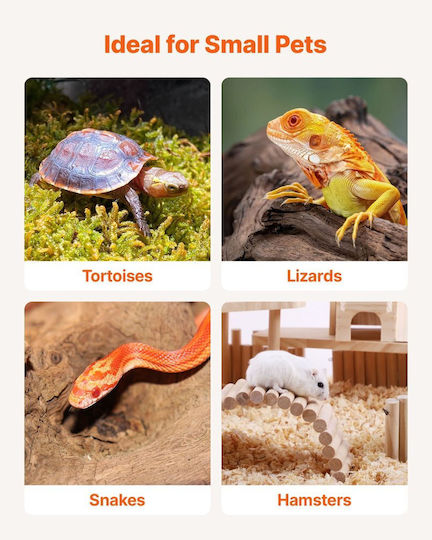 Vevor Terariu pentru Reptile