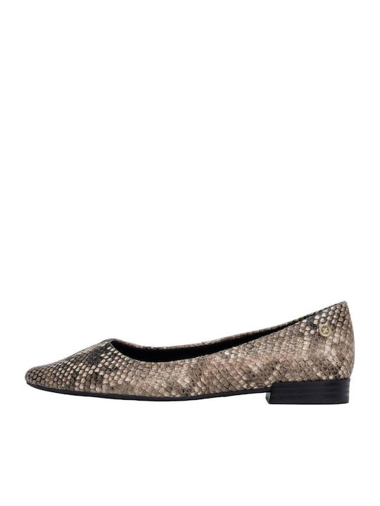 Balerini de Damă Ascuțiți Animal Print Multicolori