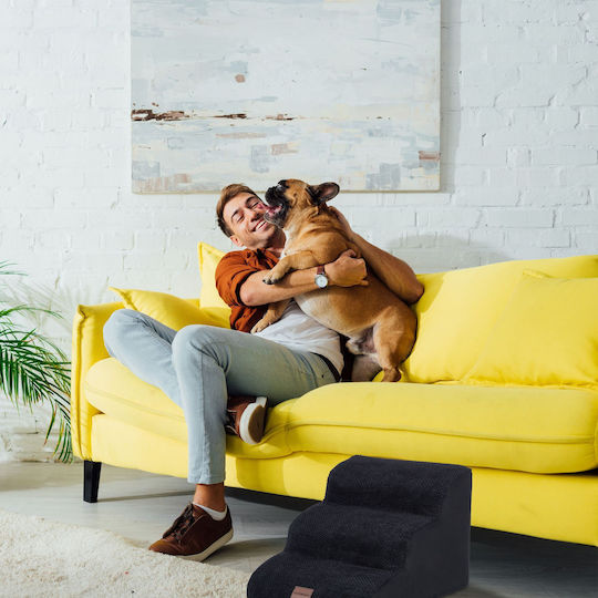 Relaxdays Hundetreppe fürs Auto Schwarz
