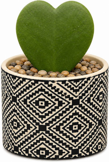 Diosera Boho Κασπώ Μαύρο
