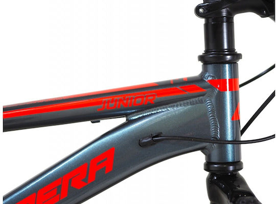 20" Παιδικό Mountain Bike με Δισκόφρενα και Σκελετό Αλουμινίου Γκρι