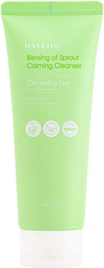 Gel de curățare facială Hayejin Blessing Sprout Calming Cleanser 170ml