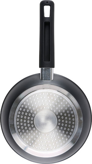 Alpina Aluminum Pan with Non-Stick Coating 20cm